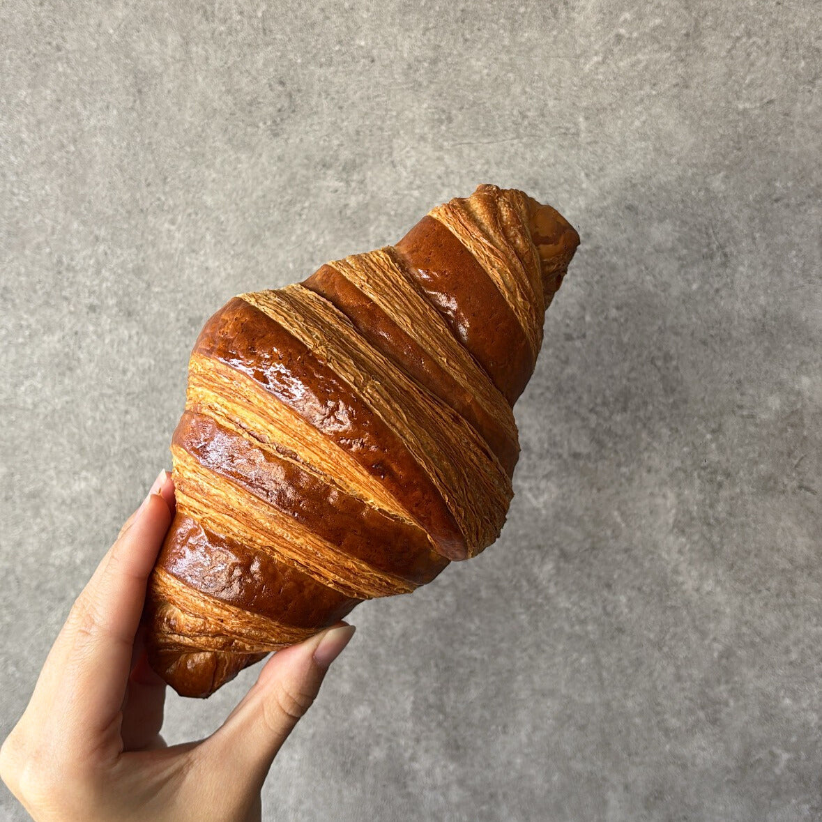 Plain Croissant